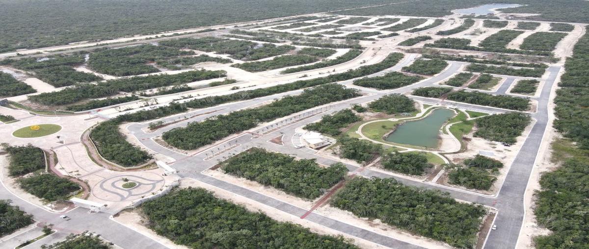 Foto de terreno habitacional en venta en  , puerto morelos, puerto morelos, quintana roo, 0 No. 03