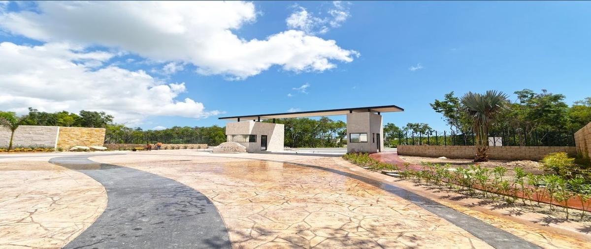 Foto de terreno habitacional en venta en  , puerto morelos, puerto morelos, quintana roo, 28837708 No. 05