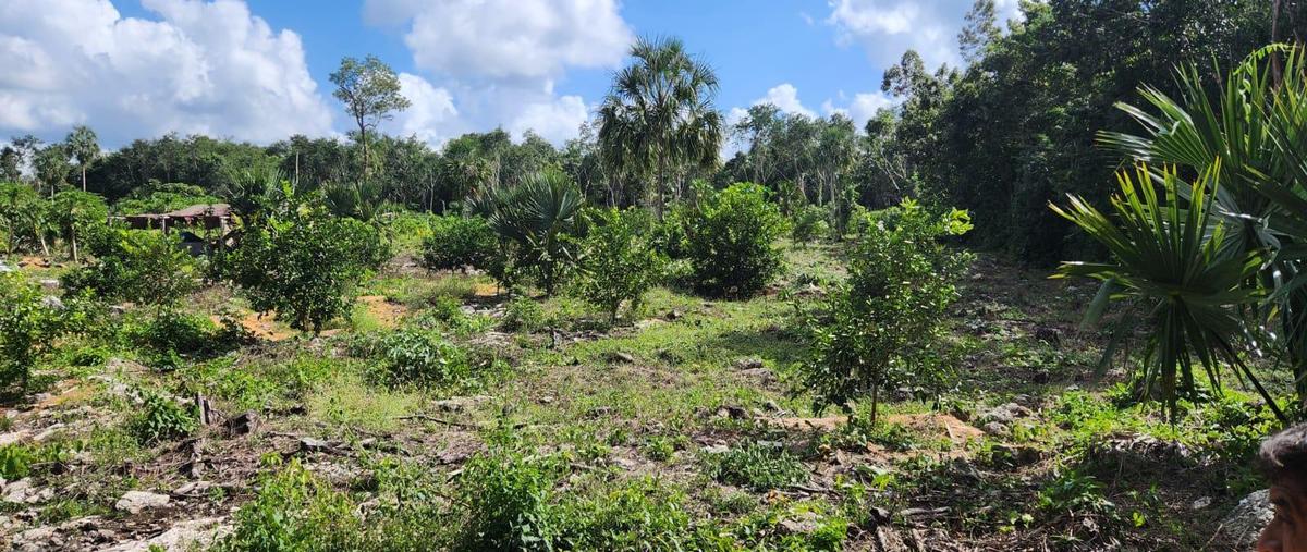 Foto de terreno habitacional en venta en  , puerto morelos, puerto morelos, quintana roo, 0 No. 04