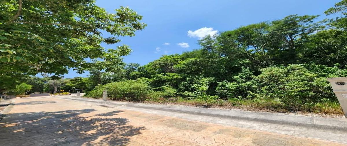 Foto de terreno habitacional en venta en  , puerto morelos, puerto morelos, quintana roo, 29516952 No. 03