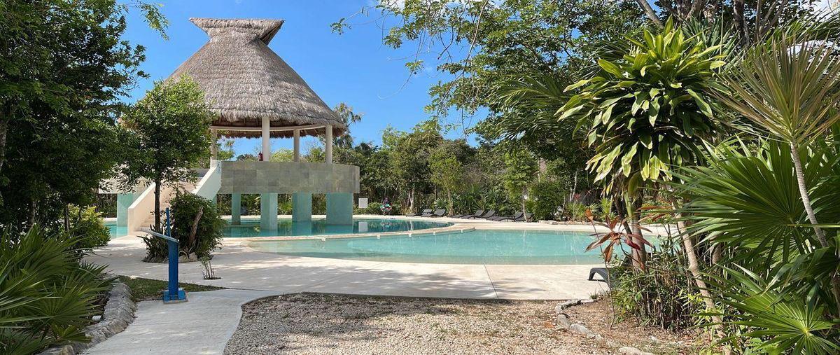 Foto de terreno habitacional en venta en  , puerto morelos, puerto morelos, quintana roo, 0 No. 04
