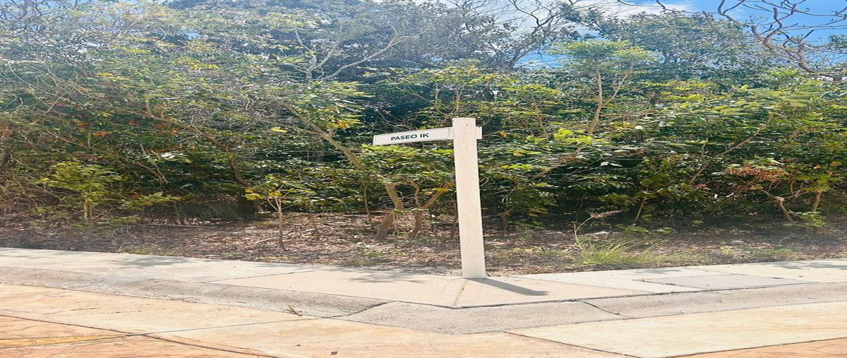 Foto de terreno habitacional en venta en  , puerto morelos, puerto morelos, quintana roo, 29843914 No. 03