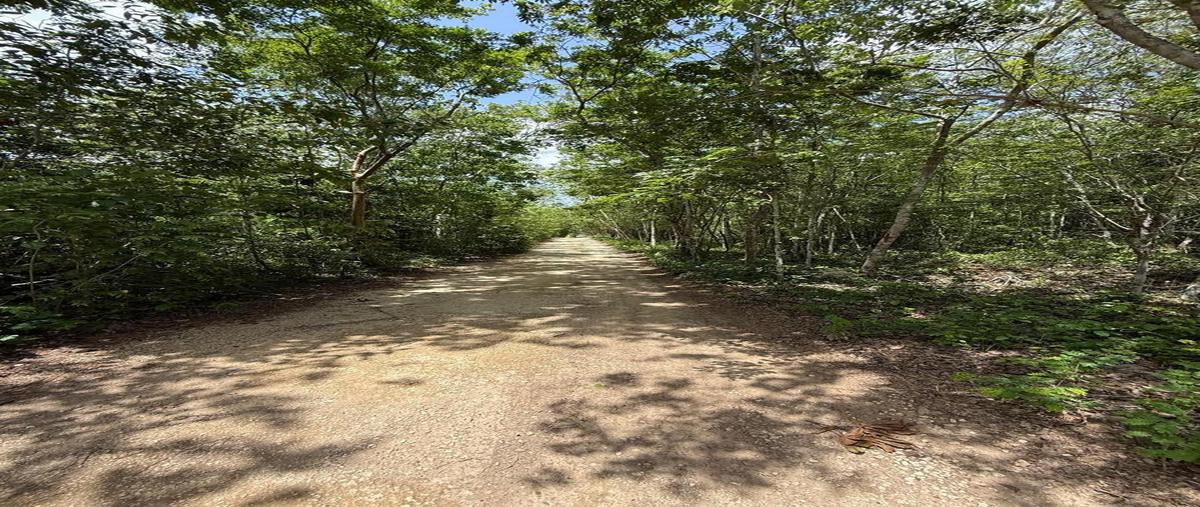 Foto de terreno habitacional en venta en  , puerto morelos, puerto morelos, quintana roo, 29846674 No. 03