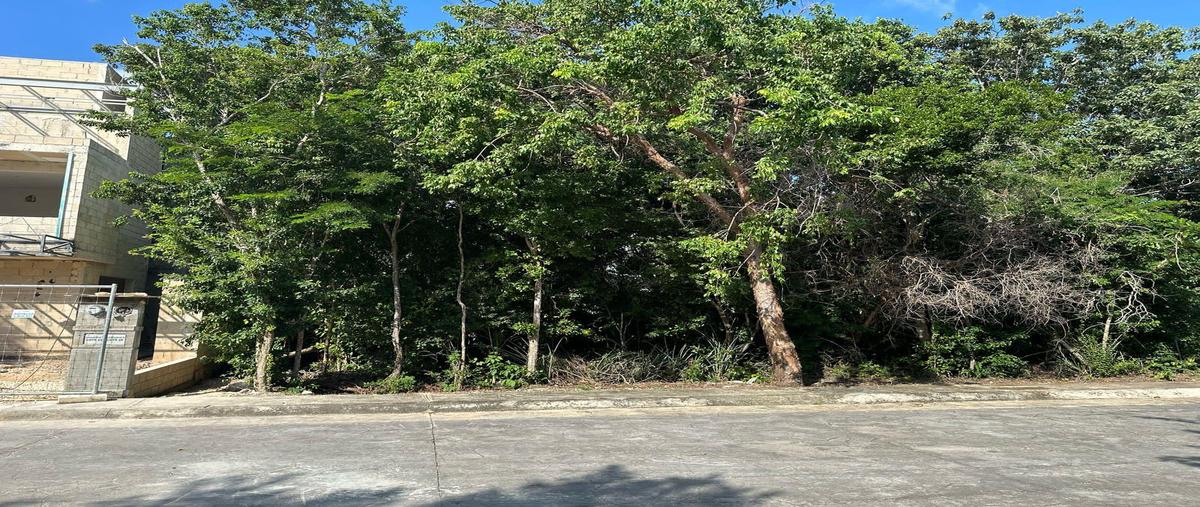 Foto de terreno habitacional en , puerto morelos, puerto morelos, quintana roo, 0 foto 03 Foto de terreno habitacional en venta en , puerto morelos, puerto morelos, quintana roo, 0 No. 03