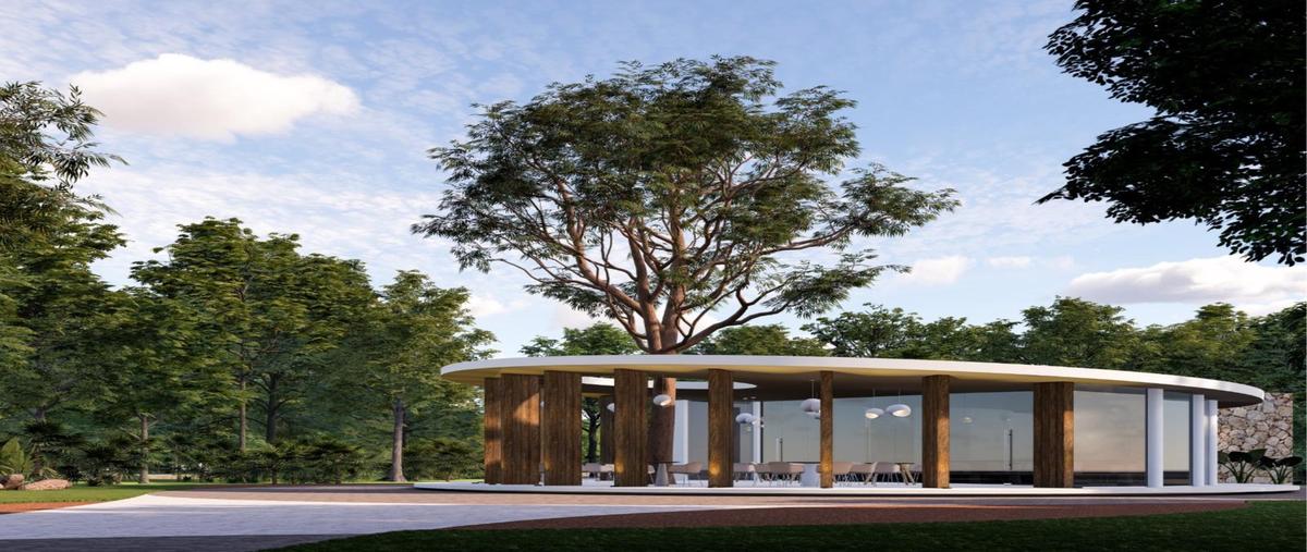 Foto de departamento en venta en  , puerto morelos, puerto morelos, quintana roo, 30155346 No. 03