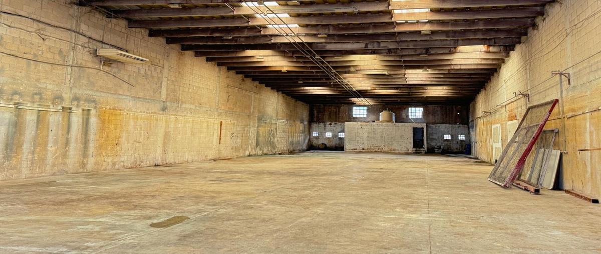 Foto de bodega en , puerto morelos, puerto morelos, quintana roo, 30174443 foto 01 Foto de bodega en renta en , puerto morelos, puerto morelos, quintana roo, 30174443 No. 01