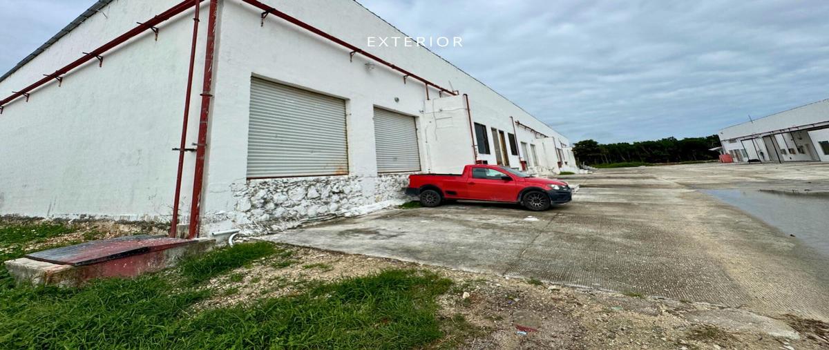 Foto de bodega en , puerto morelos, puerto morelos, quintana roo, 30174443 foto 02 Foto de bodega en renta en , puerto morelos, puerto morelos, quintana roo, 30174443 No. 02