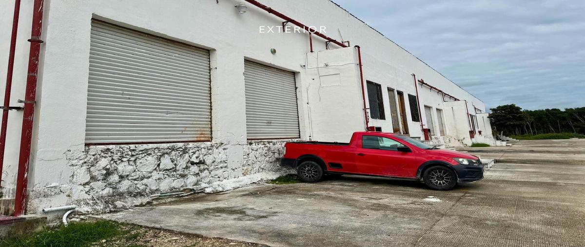 Foto de bodega en , puerto morelos, puerto morelos, quintana roo, 30174443 foto 03 Foto de bodega en renta en , puerto morelos, puerto morelos, quintana roo, 30174443 No. 03