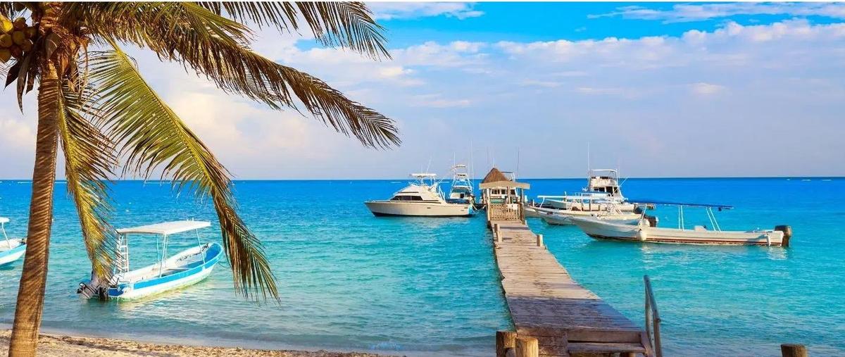 Foto de terreno habitacional en venta en  , puerto morelos, puerto morelos, quintana roo, 0 No. 05