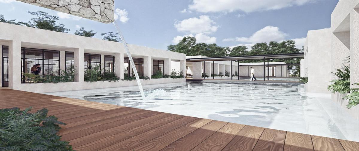 Foto de terreno habitacional en , puerto morelos, puerto morelos, quintana roo, 0 foto 02 Foto de terreno habitacional en venta en , puerto morelos, puerto morelos, quintana roo, 0 No. 02