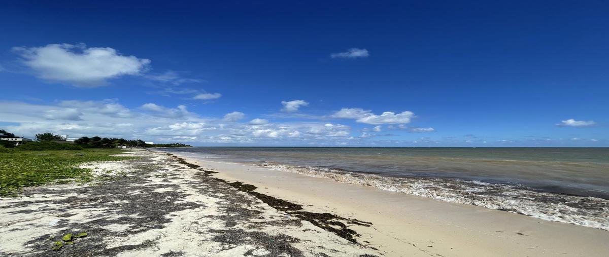 Foto de terreno habitacional en venta en  , puerto morelos, puerto morelos, quintana roo, 0 No. 04