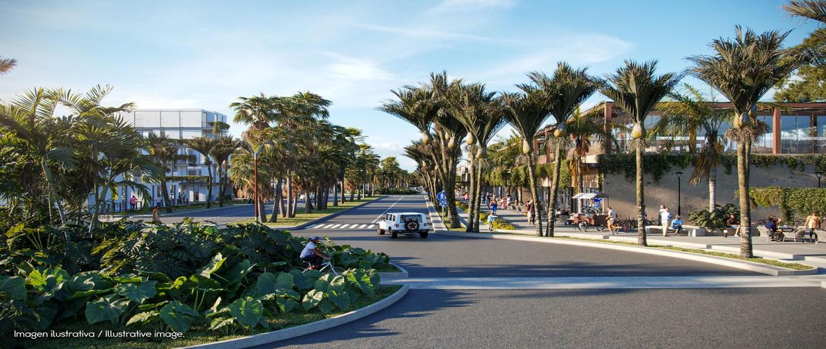 Foto de terreno comercial en venta en  , puerto morelos, puerto morelos, quintana roo, 30676095 No. 04