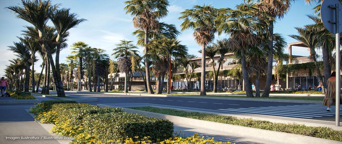Foto de terreno comercial en venta en  , puerto morelos, puerto morelos, quintana roo, 30676095 No. 05