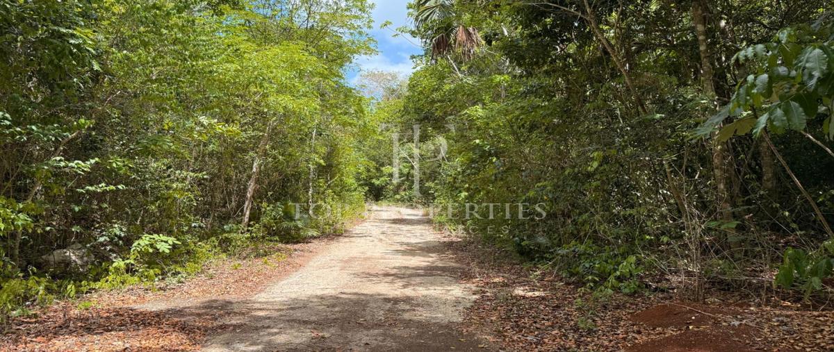 Foto de terreno habitacional en venta en  , puerto morelos, puerto morelos, quintana roo, 0 No. 03