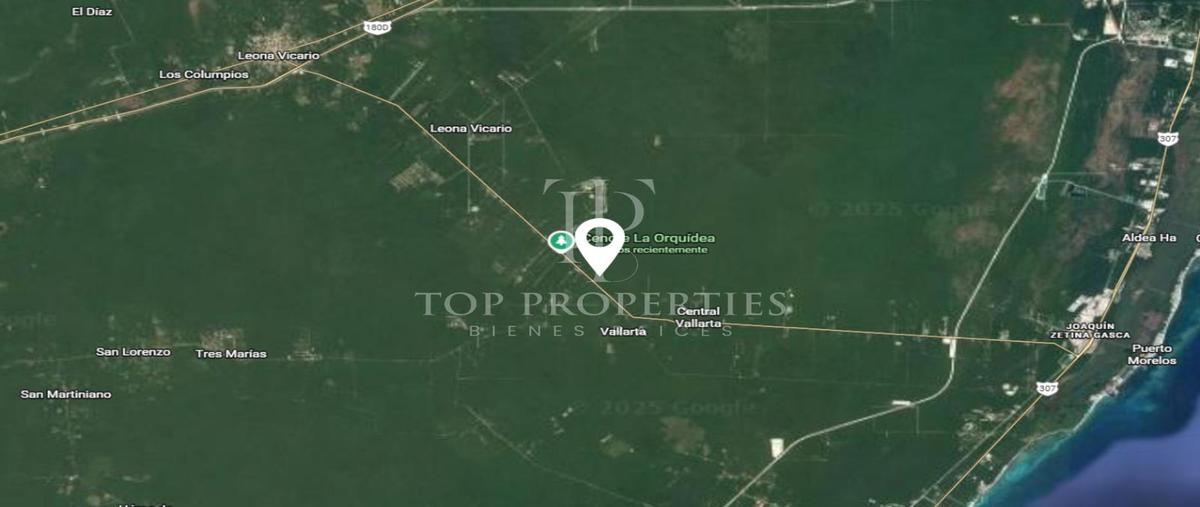 Foto de terreno habitacional en venta en  , puerto morelos, puerto morelos, quintana roo, 0 No. 04