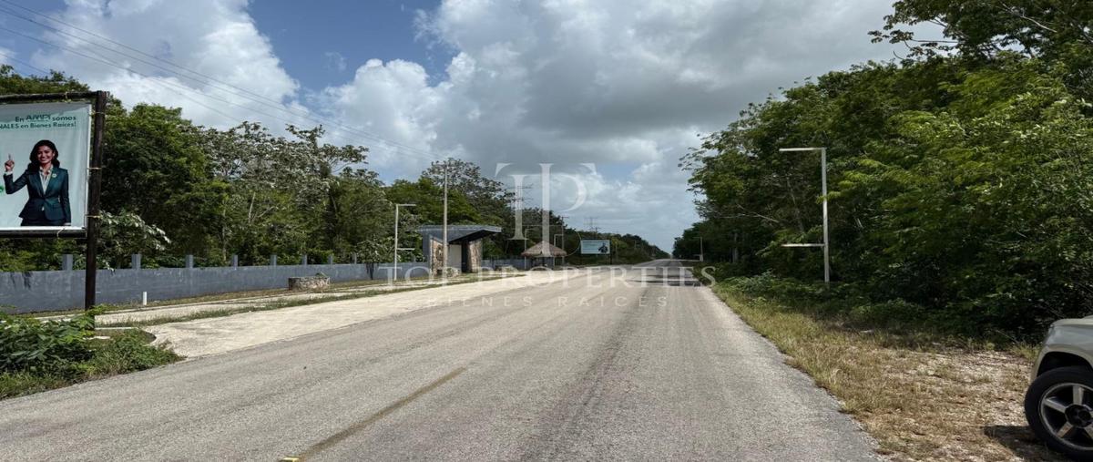Foto de terreno habitacional en venta en  , puerto morelos, puerto morelos, quintana roo, 0 No. 05