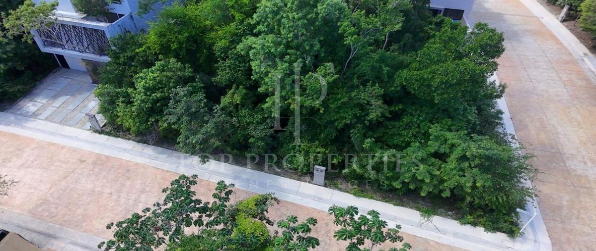 Foto de terreno habitacional en venta en  , puerto morelos, puerto morelos, quintana roo, 0 No. 04