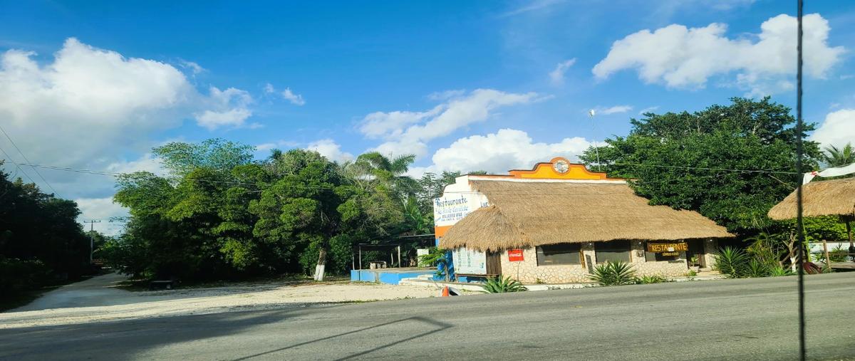 Foto de terreno habitacional en , puerto morelos, puerto morelos, quintana roo, 30746526 foto 05 Foto de terreno habitacional en venta en , puerto morelos, puerto morelos, quintana roo, 30746526 No. 05