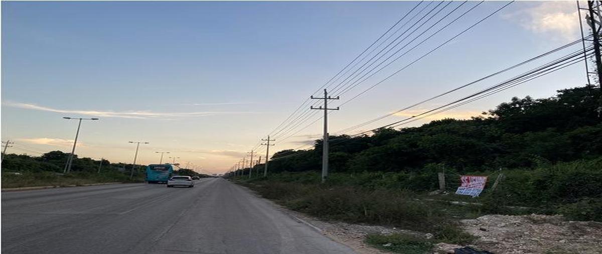 Foto de terreno habitacional en venta en  , puerto morelos, puerto morelos, quintana roo, 0 No. 03