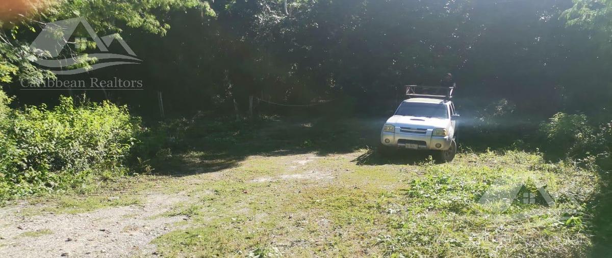 Foto de terreno habitacional en venta en  , puerto morelos, puerto morelos, quintana roo, 0 No. 03