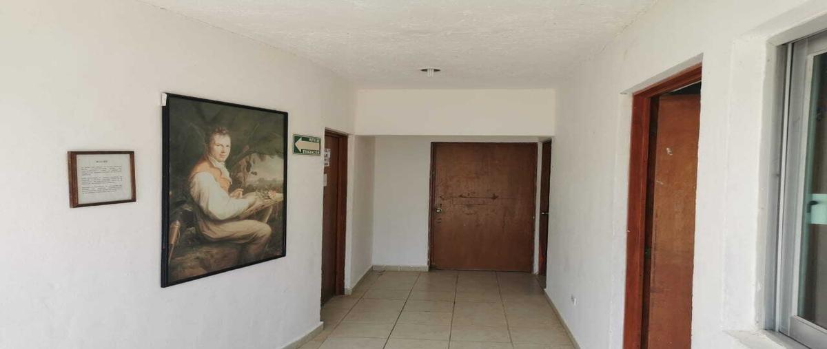 Foto de edificio en , puerto morelos, puerto morelos, quintana roo, 0 foto 05 Foto de edificio en venta en , puerto morelos, puerto morelos, quintana roo, 0 No. 05