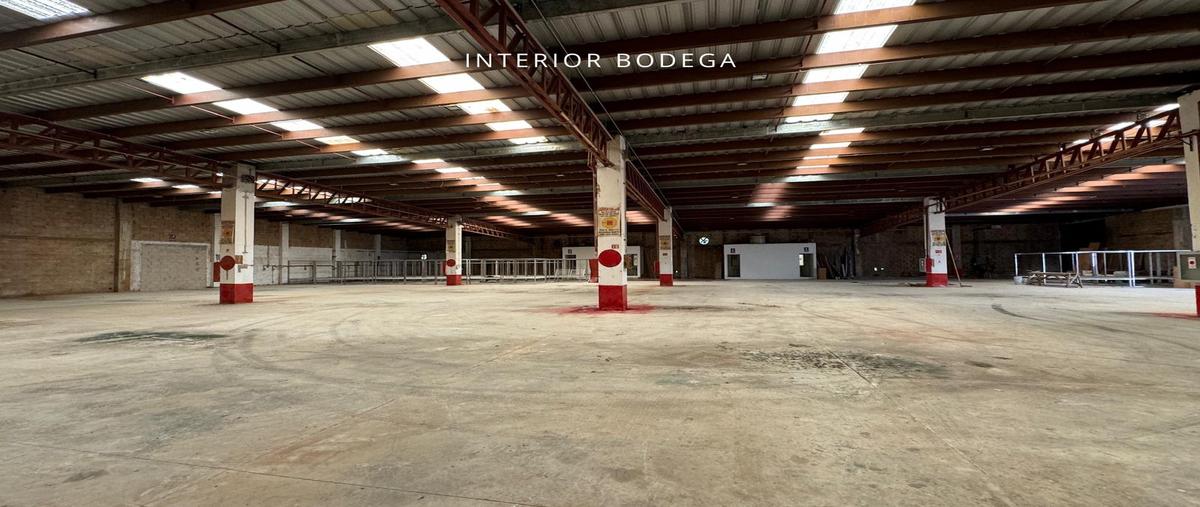 Foto de nave industrial en renta en  , puerto morelos, puerto morelos, quintana roo, 0 No. 05
