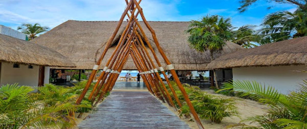 Foto de terreno habitacional en venta en  , puerto morelos, puerto morelos, quintana roo, 0 No. 05