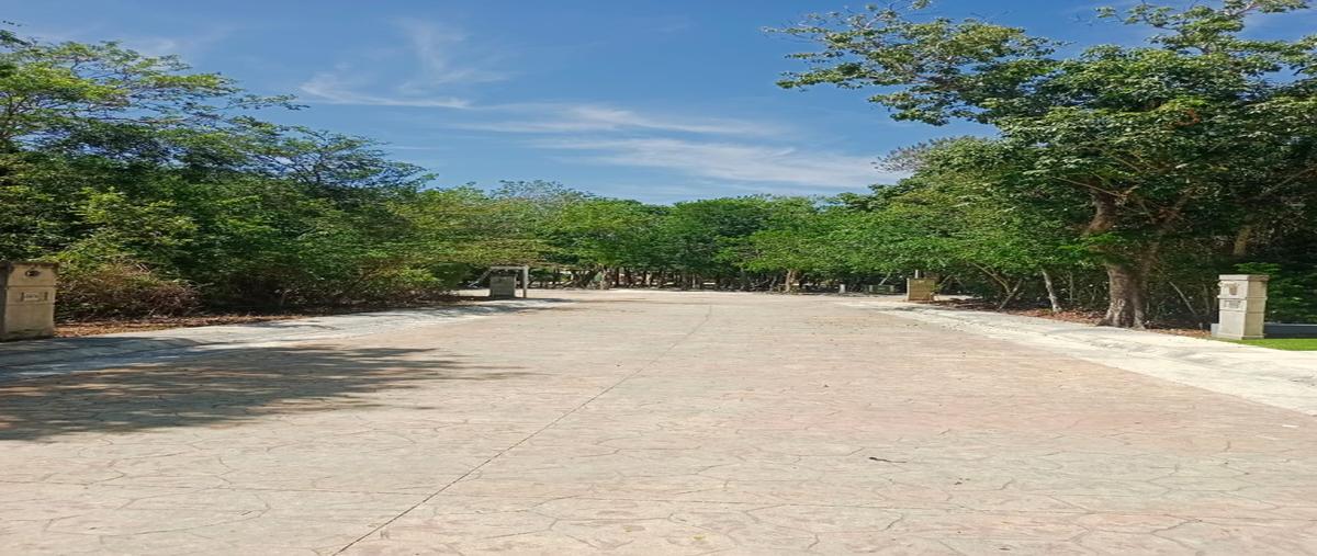 Foto de terreno habitacional en , puerto morelos, puerto morelos, quintana roo, 31000043 foto 02 Foto de terreno habitacional en venta en , puerto morelos, puerto morelos, quintana roo, 31000043 No. 02