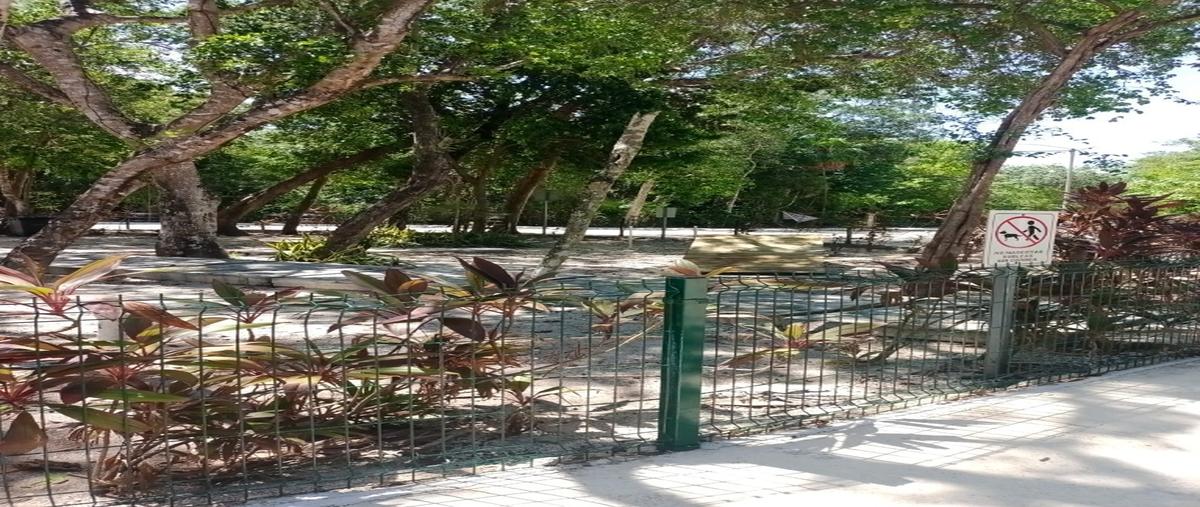 Foto de terreno habitacional en , puerto morelos, puerto morelos, quintana roo, 31000043 foto 05 Foto de terreno habitacional en venta en , puerto morelos, puerto morelos, quintana roo, 31000043 No. 05