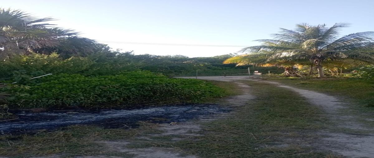 Foto de terreno habitacional en venta en  , puerto morelos, puerto morelos, quintana roo, 0 No. 04
