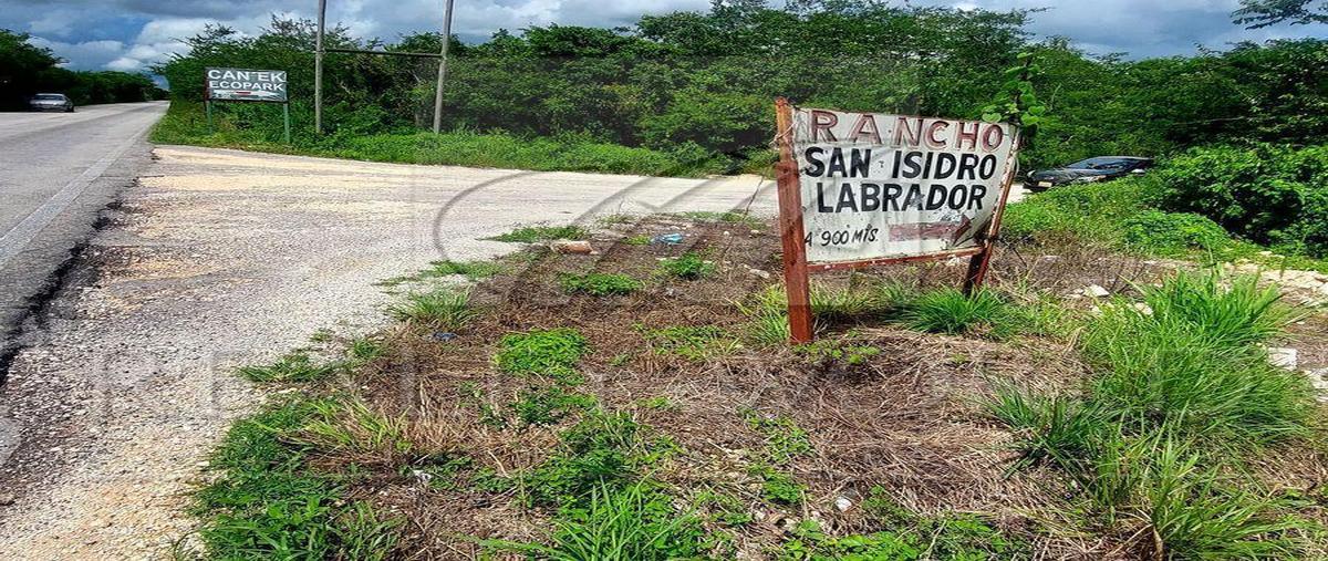 Foto de terreno habitacional en venta en  , puerto morelos, puerto morelos, quintana roo, 0 No. 03