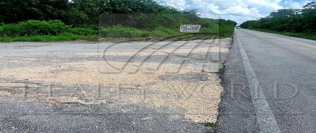 Foto de terreno habitacional en venta en  , puerto morelos, puerto morelos, quintana roo, 0 No. 04