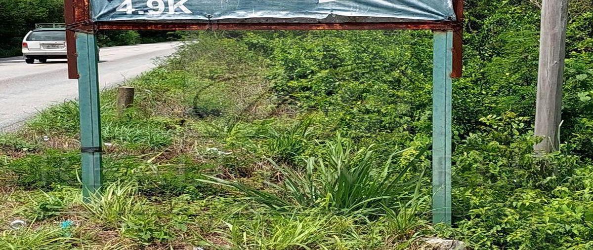 Foto de terreno habitacional en venta en  , puerto morelos, puerto morelos, quintana roo, 0 No. 05