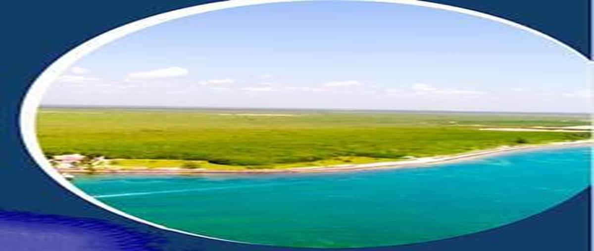 Foto de terreno habitacional en , puerto morelos, puerto morelos, quintana roo, 31028993 foto 04 Foto de terreno habitacional en venta en , puerto morelos, puerto morelos, quintana roo, 31028993 No. 04