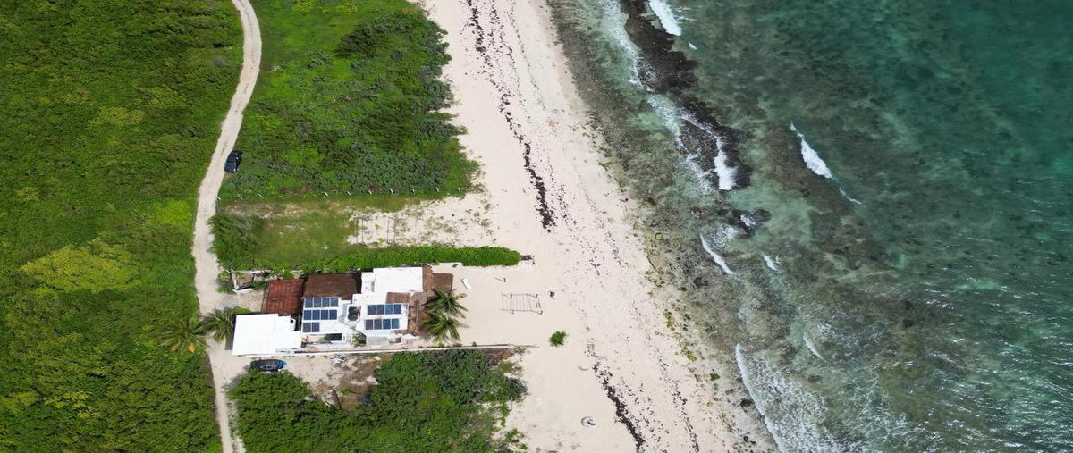 Foto de terreno habitacional en venta en  , puerto morelos, puerto morelos, quintana roo, 0 No. 05