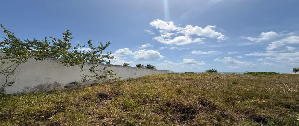 Foto de terreno habitacional en venta en  , puerto morelos, puerto morelos, quintana roo, 31117462 No. 04