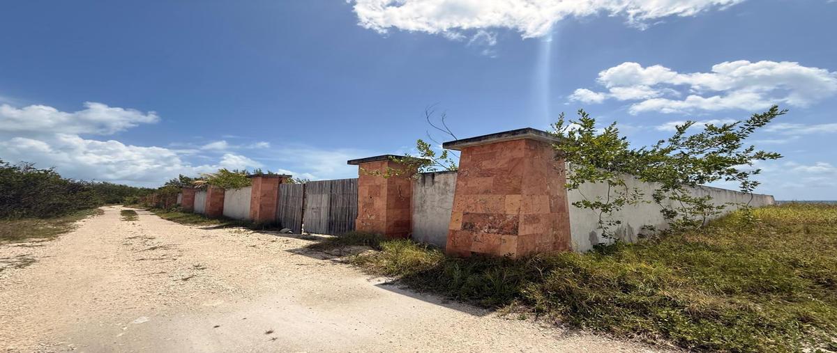 Foto de terreno habitacional en venta en  , puerto morelos, puerto morelos, quintana roo, 31117462 No. 05