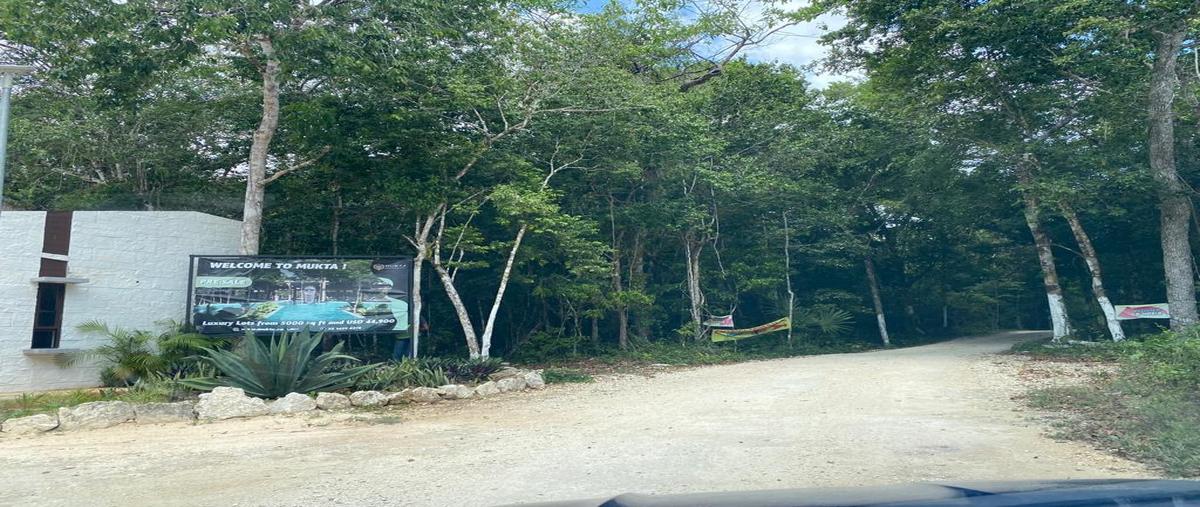 Foto de terreno habitacional en venta en  , puerto morelos, puerto morelos, quintana roo, 0 No. 04