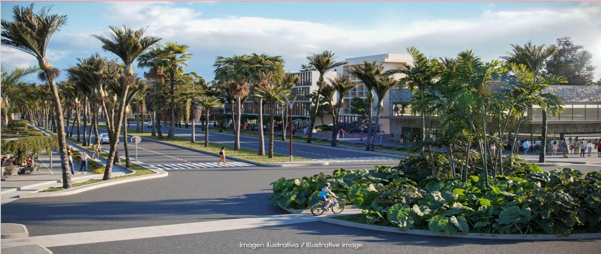 Foto de terreno habitacional en venta en  , puerto morelos, puerto morelos, quintana roo, 0 No. 04