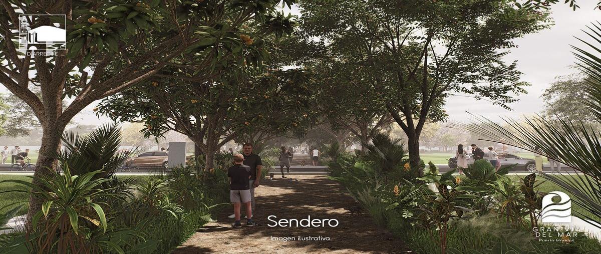 Foto de terreno habitacional en venta en  , puerto morelos, puerto morelos, quintana roo, 0 No. 05
