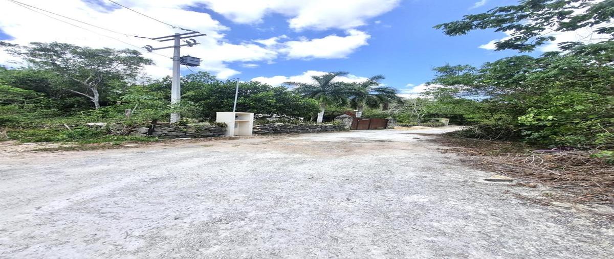 Foto de terreno habitacional en venta en  , puerto morelos, puerto morelos, quintana roo, 31472142 No. 03