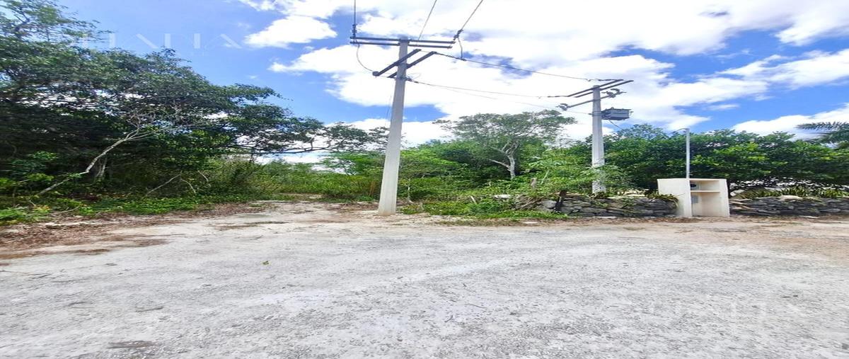 Foto de terreno habitacional en venta en  , puerto morelos, puerto morelos, quintana roo, 31472142 No. 04