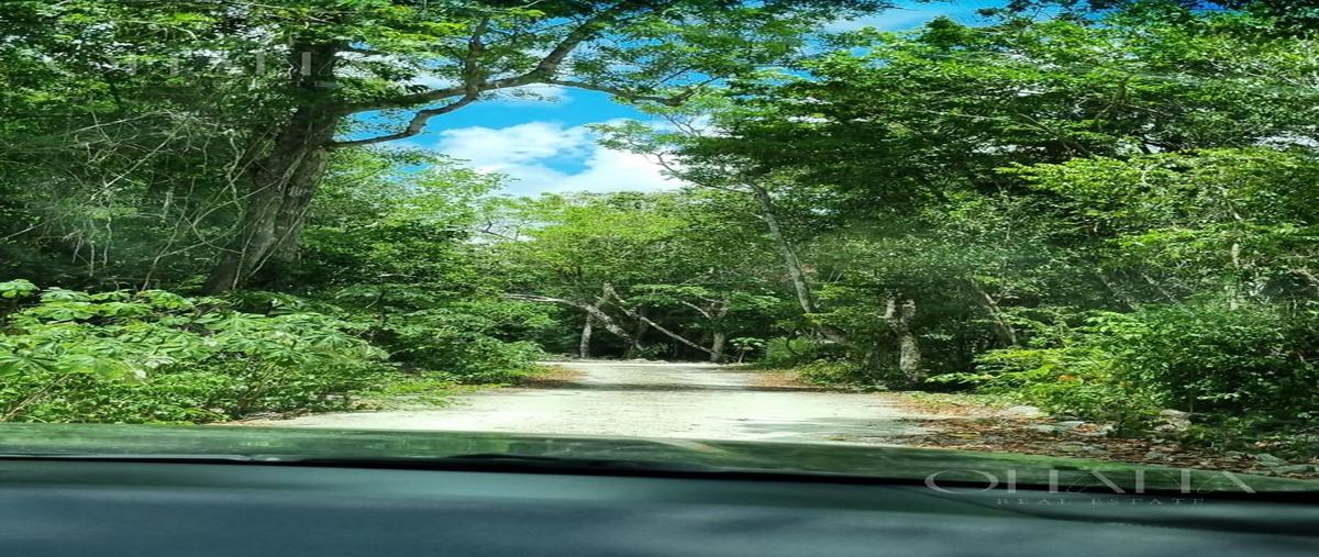 Foto de terreno habitacional en venta en  , puerto morelos, puerto morelos, quintana roo, 31472142 No. 05