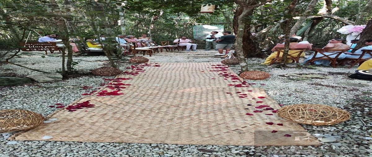 Foto de rancho en venta en  , puerto morelos, puerto morelos, quintana roo, 31497137 No. 04