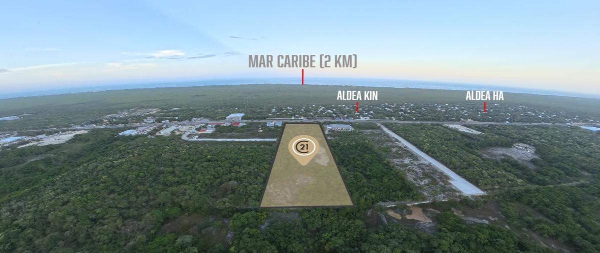 Foto de terreno habitacional en venta en  , puerto morelos, puerto morelos, quintana roo, 31499085 No. 03