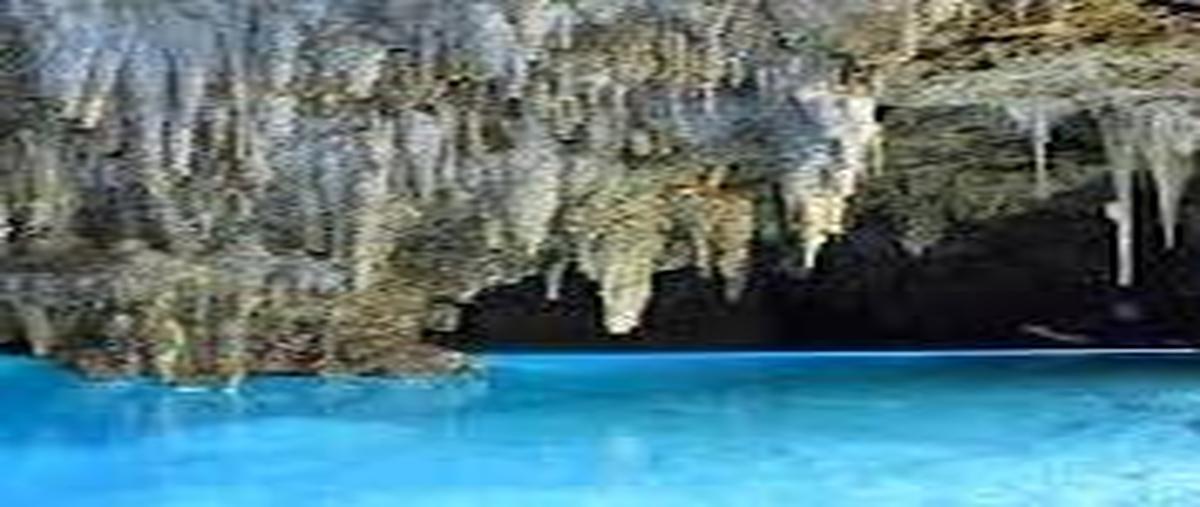 Foto de terreno habitacional en venta en  , puerto morelos, puerto morelos, quintana roo, 31499606 No. 05