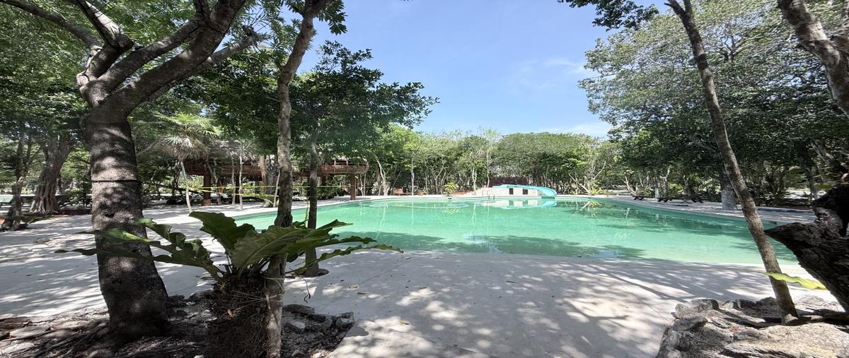 Foto de terreno habitacional en venta en  , puerto morelos, puerto morelos, quintana roo, 0 No. 05