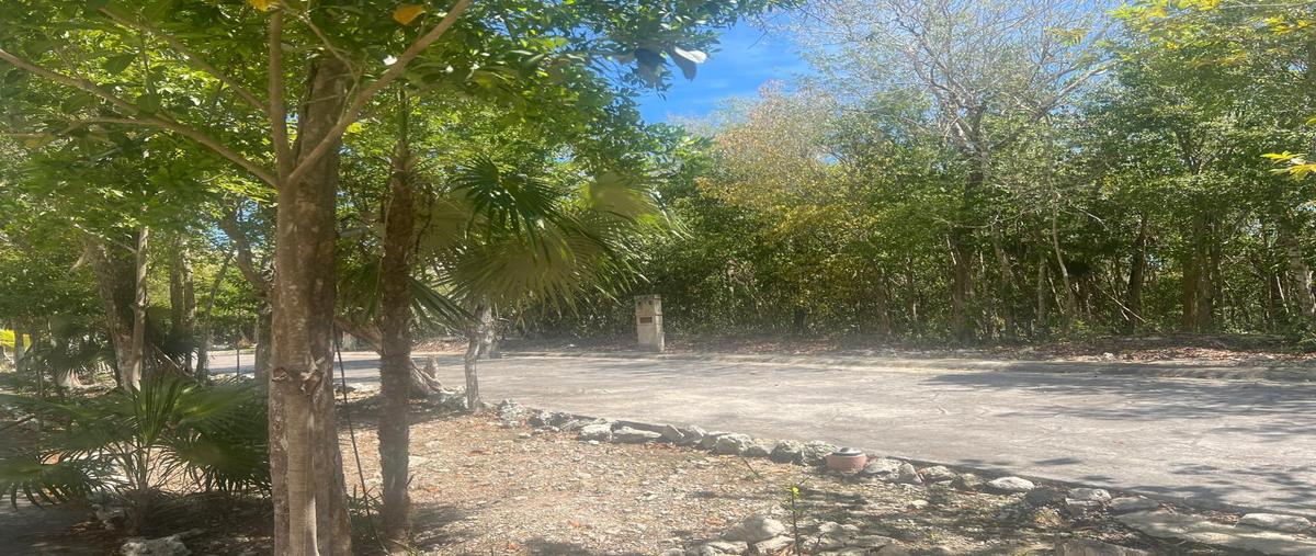 Foto de terreno habitacional en venta en  , puerto morelos, puerto morelos, quintana roo, 0 No. 05