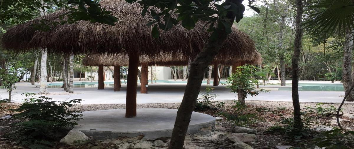 Foto de departamento en venta en puerto morelos, quintana roo, residencial alborada , residencial alborada, puerto morelos, quintana roo, 27039347 No. 05