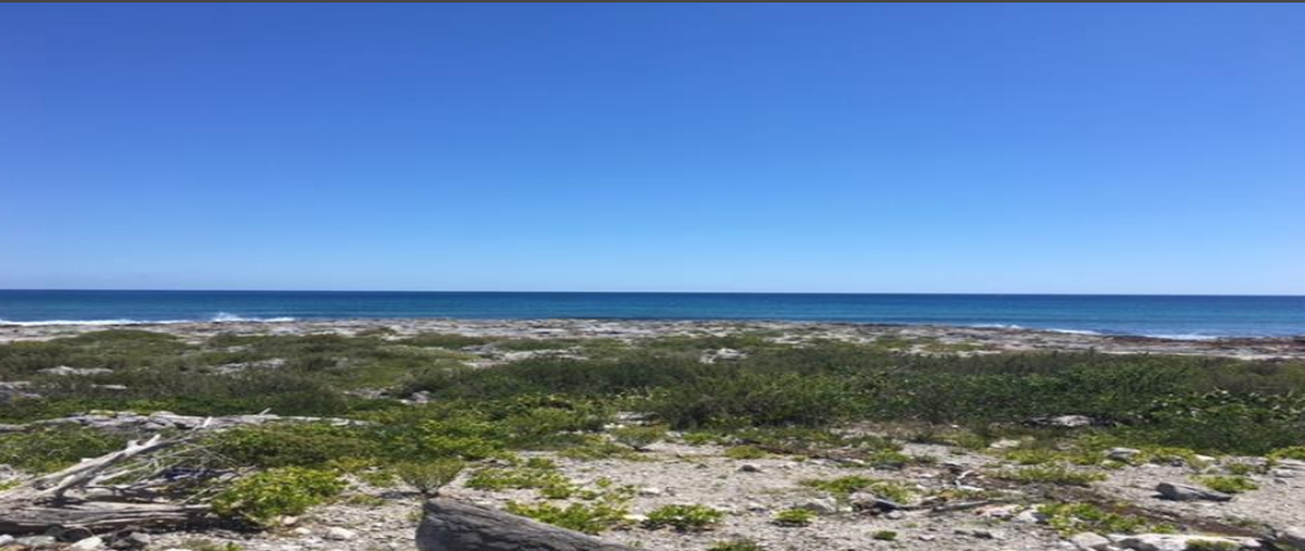 Foto de terreno habitacional en venta en puerto morleos , puerto morelos, puerto morelos, quintana roo, 20507844 No. 04